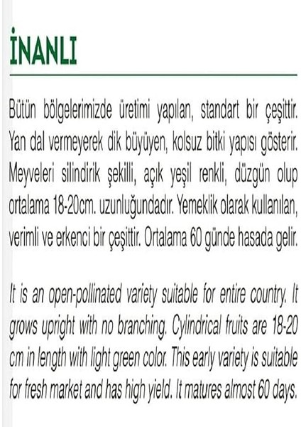 Tarım Ata Tohumu Yerli Kabak Tohumu 20 Adet Tohum fiyatları