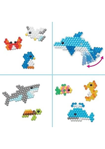 Okyanus Yaşamı fırsatları