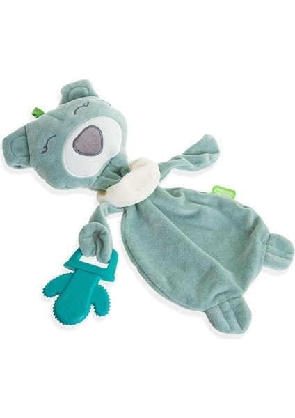 Diş Kaşıyıcılı Uykucu Ayıcık Yeşil