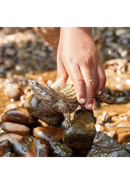 14727 – Alligator, Hayvan Oyun Figürü modelleri
