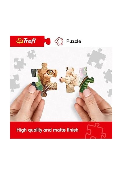 TR27110 Venedik 2000 Parça, Üstün Kalite, Yetişkinler ve 12 Yaş Üstü Çocuklar Için, Renkli, Kedi Cenneti fırsatları