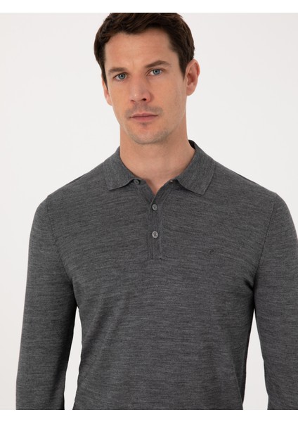 Erkek Füme Regular Fit Yün Karışımlı Polo Yaka Basic Triko Kazak 50318855-VR058
