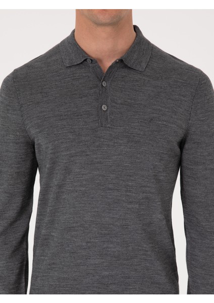 Erkek Füme Regular Fit Yün Karışımlı Polo Yaka Basic Triko Kazak 50318855-VR058