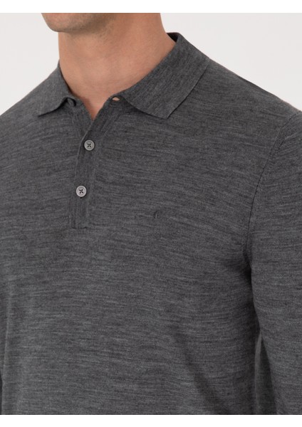 Erkek Füme Regular Fit Yün Karışımlı Polo Yaka Basic Triko Kazak 50318855-VR058