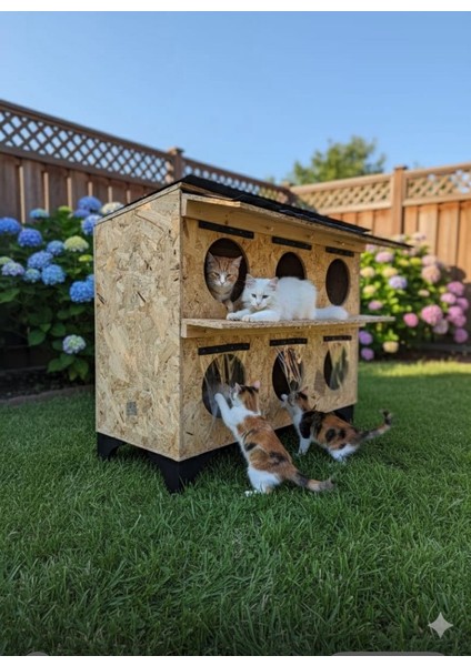 Kedi Evi Kedi Yuvası Kedi Barınağı 2 Katlı 6 Bölmeli 6 Kedilik fiyatları