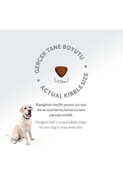 Starter Care Yavru Köpek Kuzulu Kolajen Destekli Hipoalerjenik Tüm Irklar 3 Kg. fiyatları