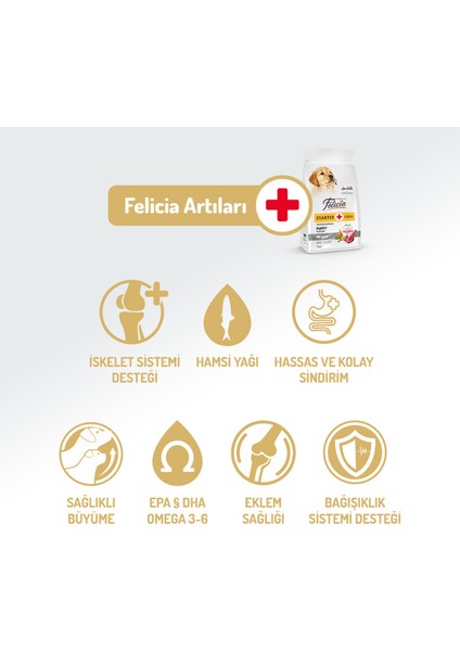 Starter Care Yavru Köpek Kuzulu Kolajen Destekli Hipoalerjenik Tüm Irklar 3 Kg. fırsatları