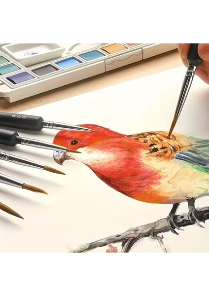 BUFFER®10 Adet Çok Amaçlı Fırça Takımı modelleri