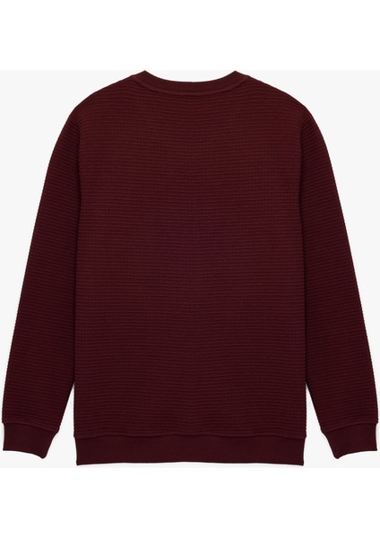 Regular Fit Uzun Kollu Dokulu Bisiklet Yaka Sweatshirt fiyatları