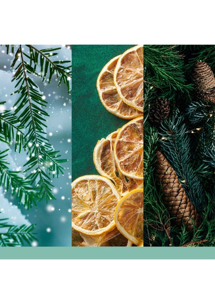 Holiday Winterfest Büyük Mum modelleri