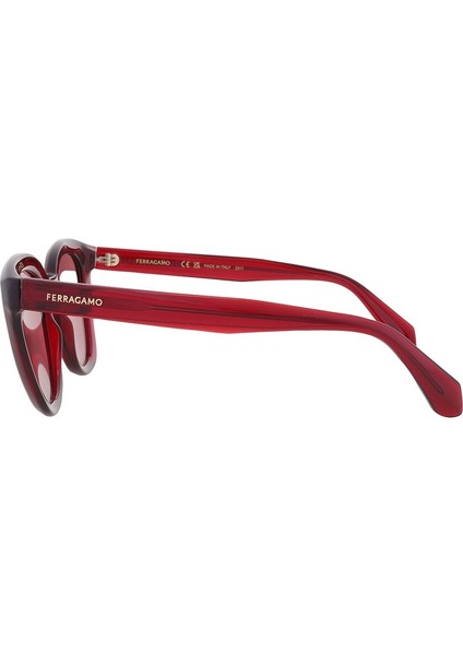 Sf 2000S 616 52 Salvatore Ferragamo Güneş Gözlüğü modelleri