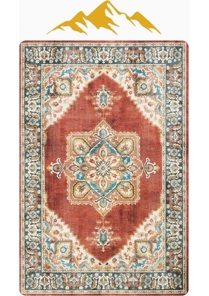 Parlak Kadife Kumaş Vıntage Dijital Baskı Dot Kaymaz Tabanlı Halı H0827 modelleri