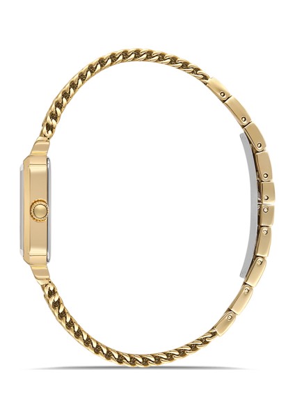 CW320G-02SG Kadın Kol Saati fiyatları