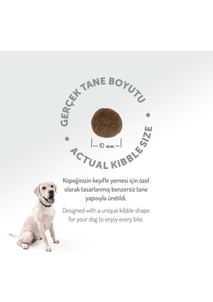 Kolajen Destekli Hipoalerjenik Kuzulu Yetişkin Küçük Irk Köpek Maması 3 Kg. fiyatları