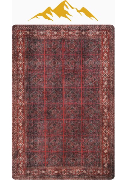 Parlak Kadife Kumaş Vıntage Dijital Baskı Dot Kaymaz Tabanlı Halı H0831 modelleri