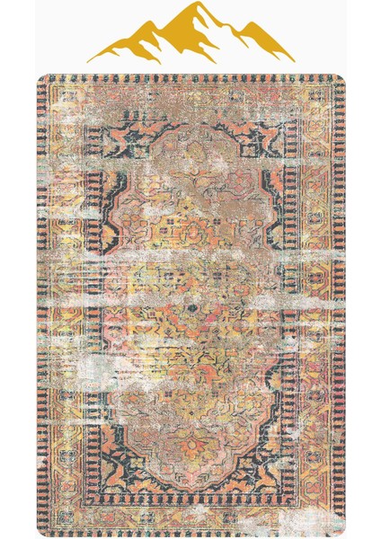 Eskitme Desenli Dijital Baskı Kaymaz Taban Halı H1079 modelleri