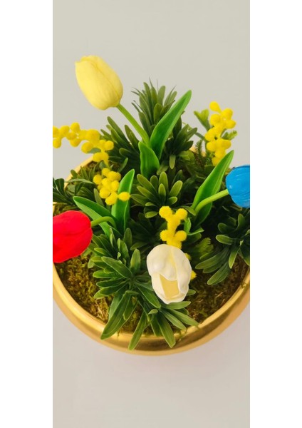Lale Harmoni – Gold Kase Renkli Lale Aranjmanı modelleri
