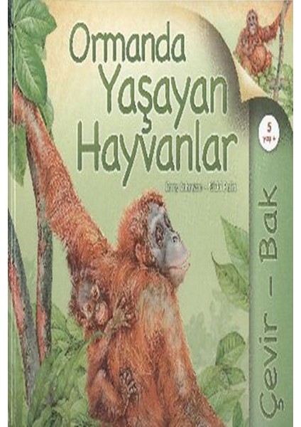 Çevir Bak Ormanda Yaşayan Hayvanlar