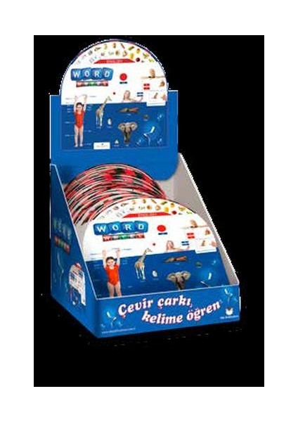 English Word Whell (Kelime Çarkı)