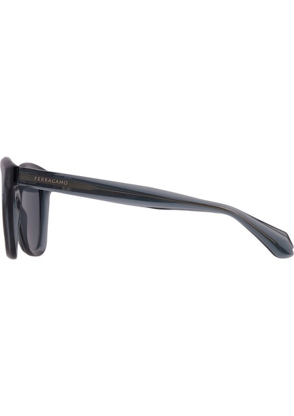 Sf 2000S 438 52 Salvatore Ferragamo Güneş Gözlüğü