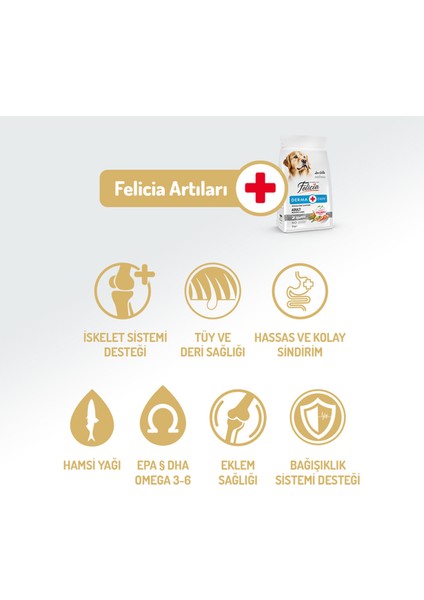 Kolajen Destekli Hipoalerjenik Somonlu Yetişkin Orta ve Büyük Irk Köpek Maması 3 Kg. modelleri