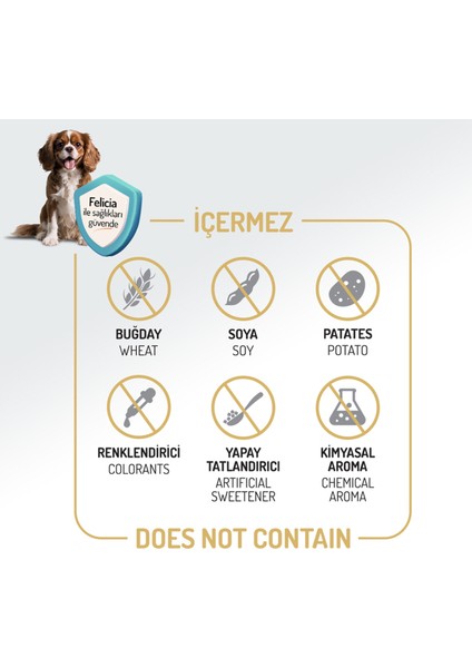 Kolajen Destekli Hipoalerjenik Somonlu Yetişkin Orta ve Büyük Irk Köpek Maması 3 Kg. indirimleri