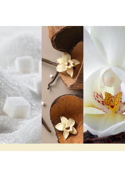 Vanilla Flurries Büyük Mum modelleri