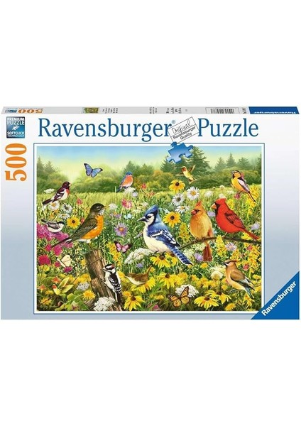 500 Parçalı Puzzle Kuşlar