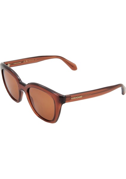 Sf 2000S 232 52 Salvatore Ferragamo Güneş Gözlüğü fırsatları