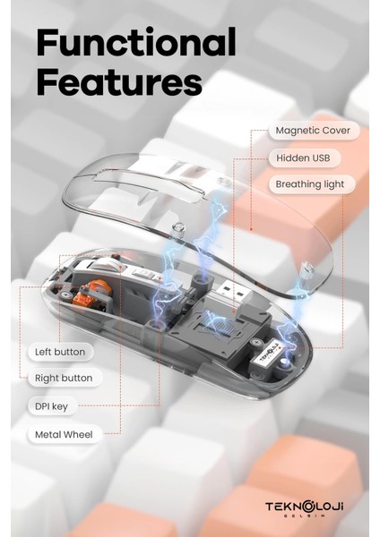 Bluetooth USB Çift Modlu Sessiz Mouse, Şeffaf Mıknatıslı Kapaklı, Type-C Şarjlı, Dpı Ayarlı, Kablosuz 10M Çekim Mesafeli, Masaüstü Kısayol Tuşlu, Taşınabilir Şarjlı Mouse Beyaz modelleri