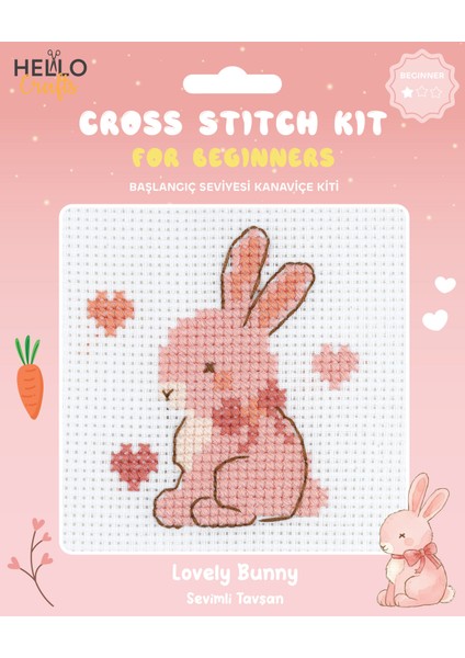 Başlangıç Seviyesi Kanaviçe Kiti (Iplik, Iğne, Kumaş) 15*15 cm HC554