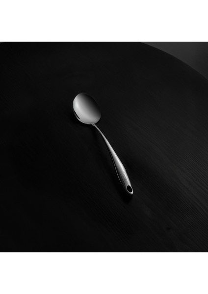 Protools Shiny Servis Kaşığı