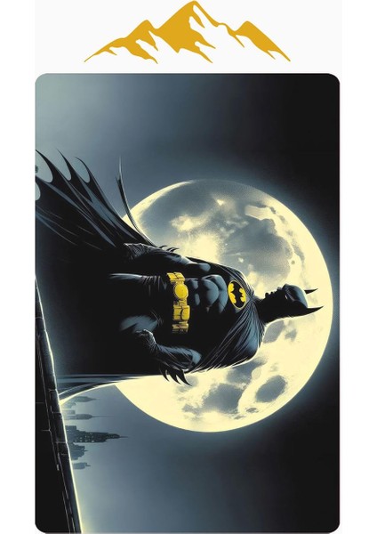 Parlak Kadife Kumaş Dijital Baskı Dot Kaymaz Tabanlı Çocuk ve Genç Odası Halısı H0570 modelleri