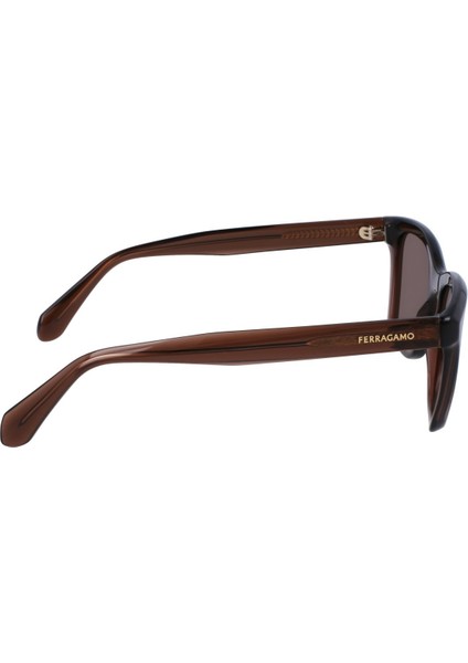 Sf 2001S 232 54 Salvatore Ferragamo Güneş Gözlüğü