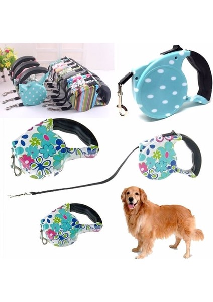 Desenli Köpek Tasması - Pup