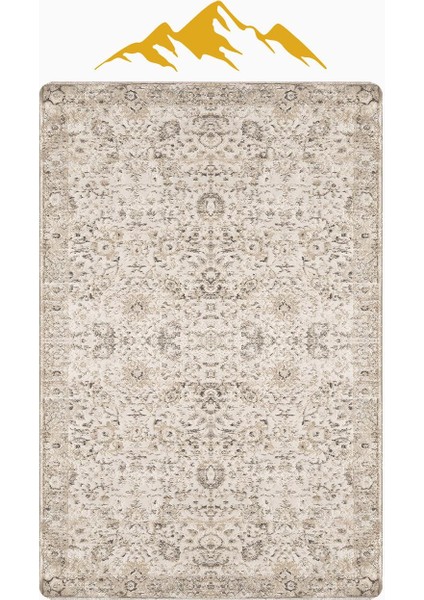 Parlak Kadife Kumaş Vıntage Dijital Baskı Dot Kaymaz Tabanlı Halı H1066 modelleri