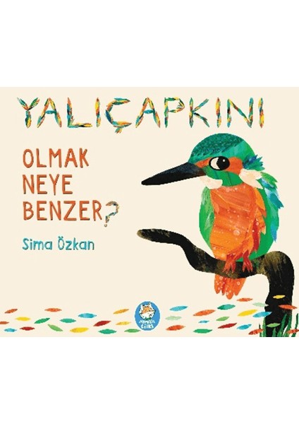 Yalıçapkını Olmak Neye Benzer?