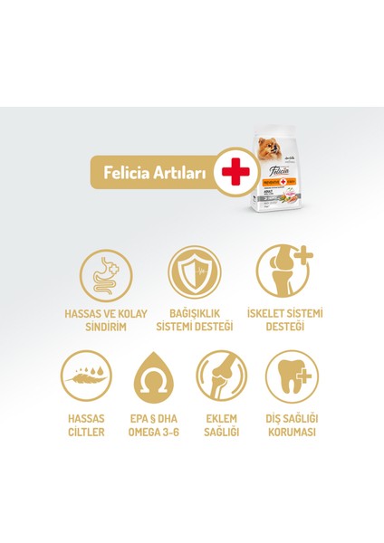 Kolajen Destekli Hipoalerjenik Somonlu Yetişkin Küçük Irk Köpek Maması 3 Kg. fırsatları