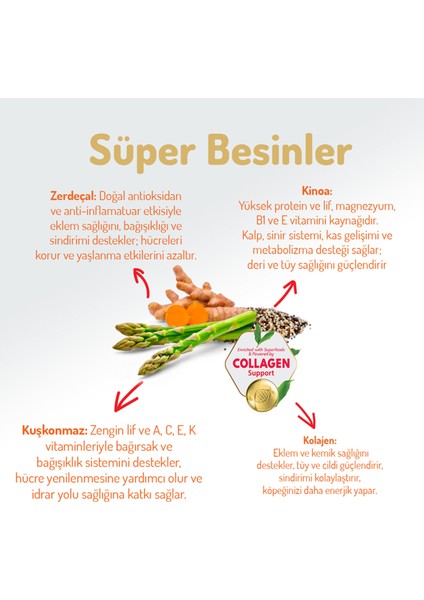 Kolajen Destekli Hipoalerjenik Somonlu Yetişkin Küçük Irk Köpek Maması 3 Kg.