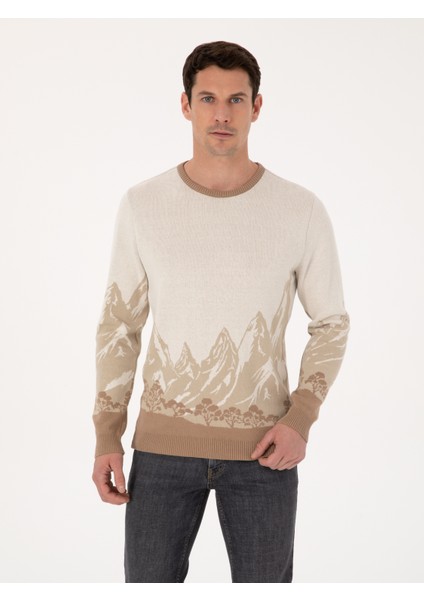 Erkek Ekru Slim Fit %100 Pamuk Bisiklet Yaka Desenli Triko Kazak 50310562-VR019