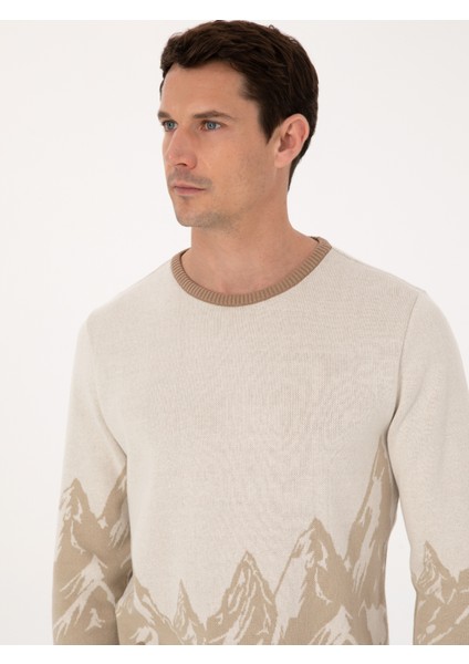 Erkek Ekru Slim Fit %100 Pamuk Bisiklet Yaka Desenli Triko Kazak 50310562-VR019