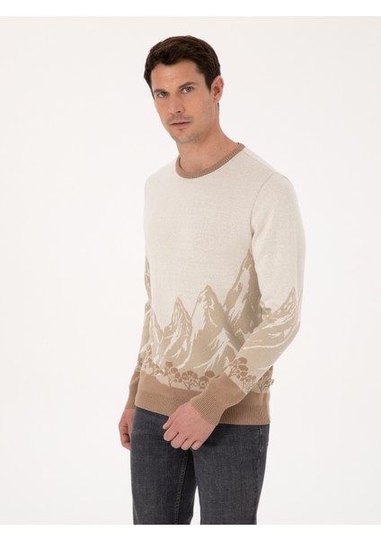 Erkek Ekru Slim Fit %100 Pamuk Bisiklet Yaka Desenli Triko Kazak 50310562-VR019