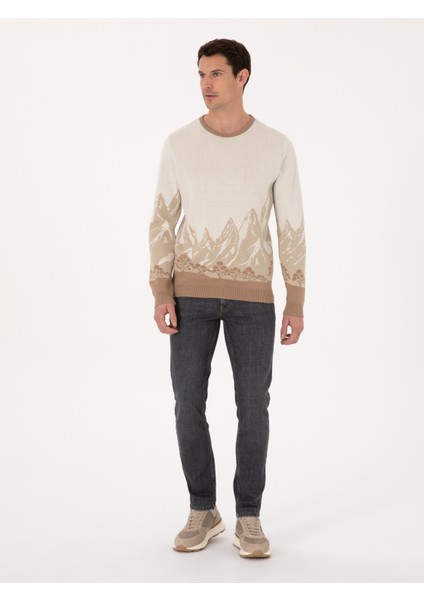 Erkek Ekru Slim Fit %100 Pamuk Bisiklet Yaka Desenli Triko Kazak 50310562-VR019