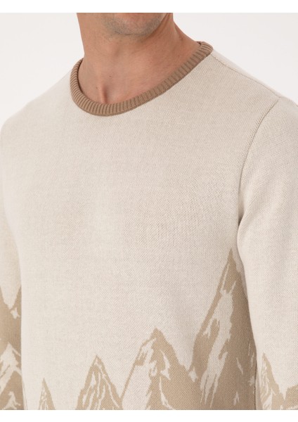 Erkek Ekru Slim Fit %100 Pamuk Bisiklet Yaka Desenli Triko Kazak 50310562-VR019