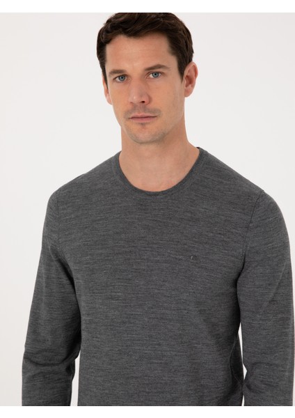 Erkek Füme Slim Fit Yün Karışımlı Bisiklet Yaka Basic Triko Kazak 50318854-VR058