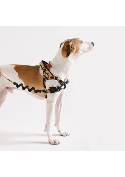 Bossa Banana Softer Walk Göğüs Tasması - Farm Rio × Zee.dog fiyatları