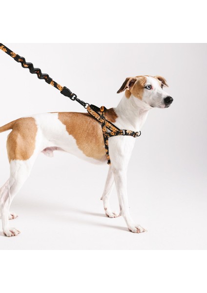 Bossa Banana Softer Walk Göğüs Tasması - Farm Rio × Zee.dog modelleri