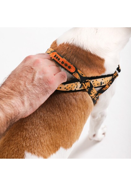 Bossa Banana Softer Walk Göğüs Tasması - Farm Rio × Zee.dog indirimleri