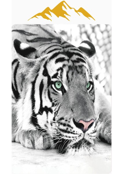 Kaplan Desenli Dijital Baskı Kaymaz Taban Halı H0140 modelleri