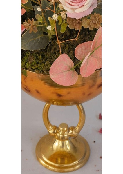 Kırmızı & Pembe Güller – Altın Kupa Saksı Arajmanı modelleri